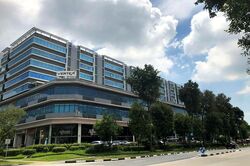 Vertex (D14), Factory #486066261